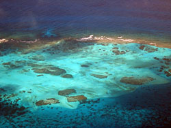 Part of the reef at Tobago Cays, from the air
