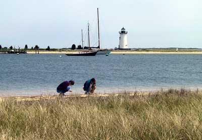 Beth and Daphne collect shells with Edgartown lighthouse in background