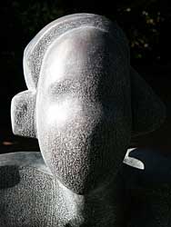 Face