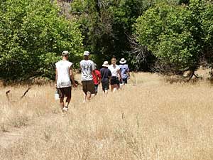 Start of the Jones Hole hike