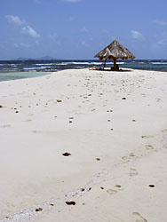 Daphne relaxes on the sandbar called Mopion