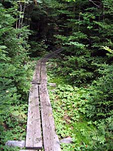 Bog Bridges