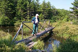 Daphne on a bridge