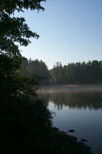 Lake in the mist